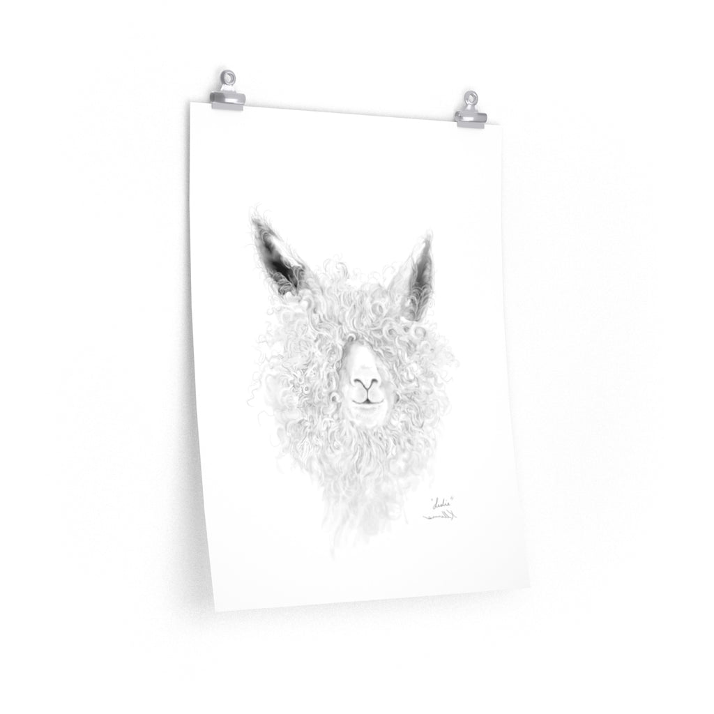 LESLIE Llama- Art Paper Print