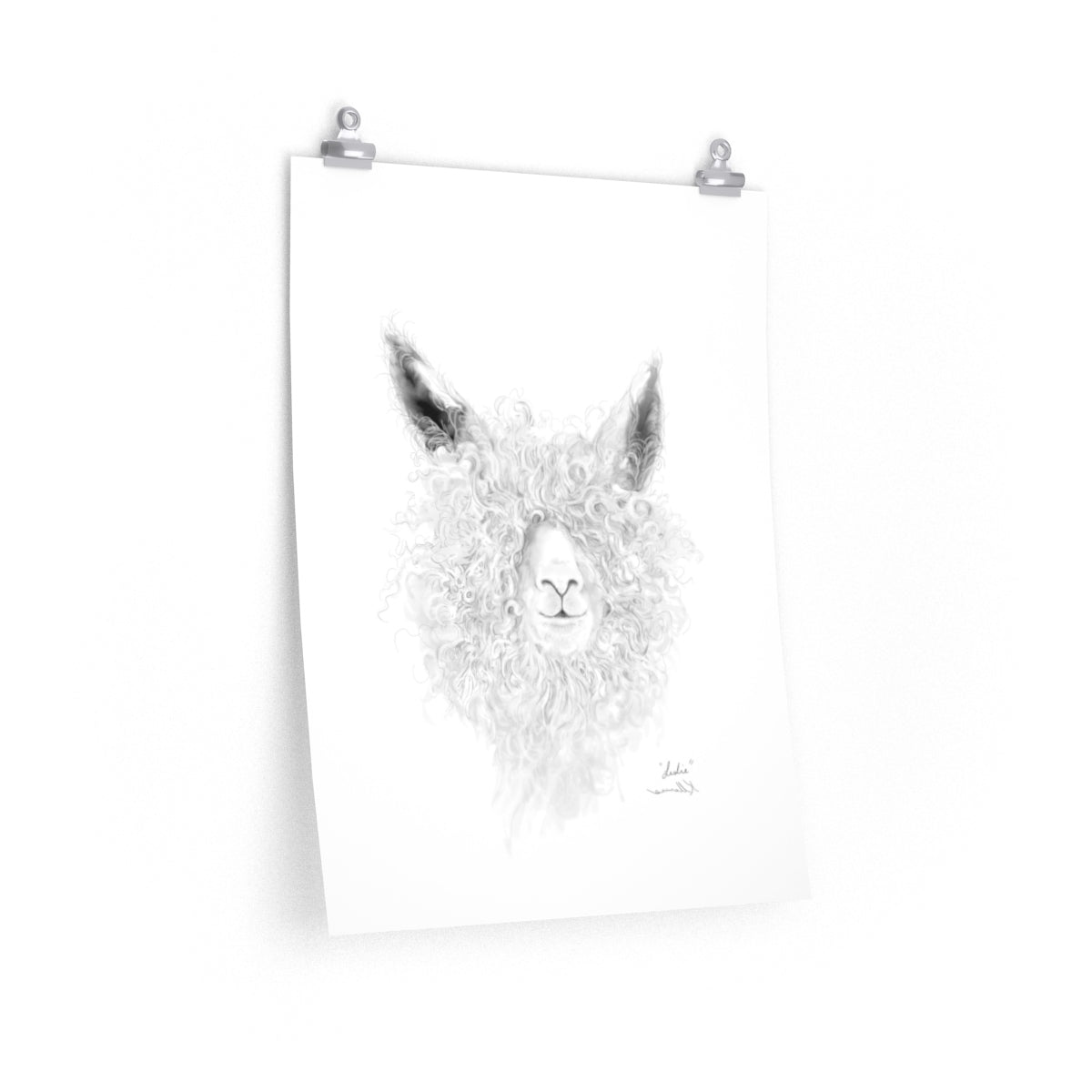 LESLIE Llama- Art Paper Print