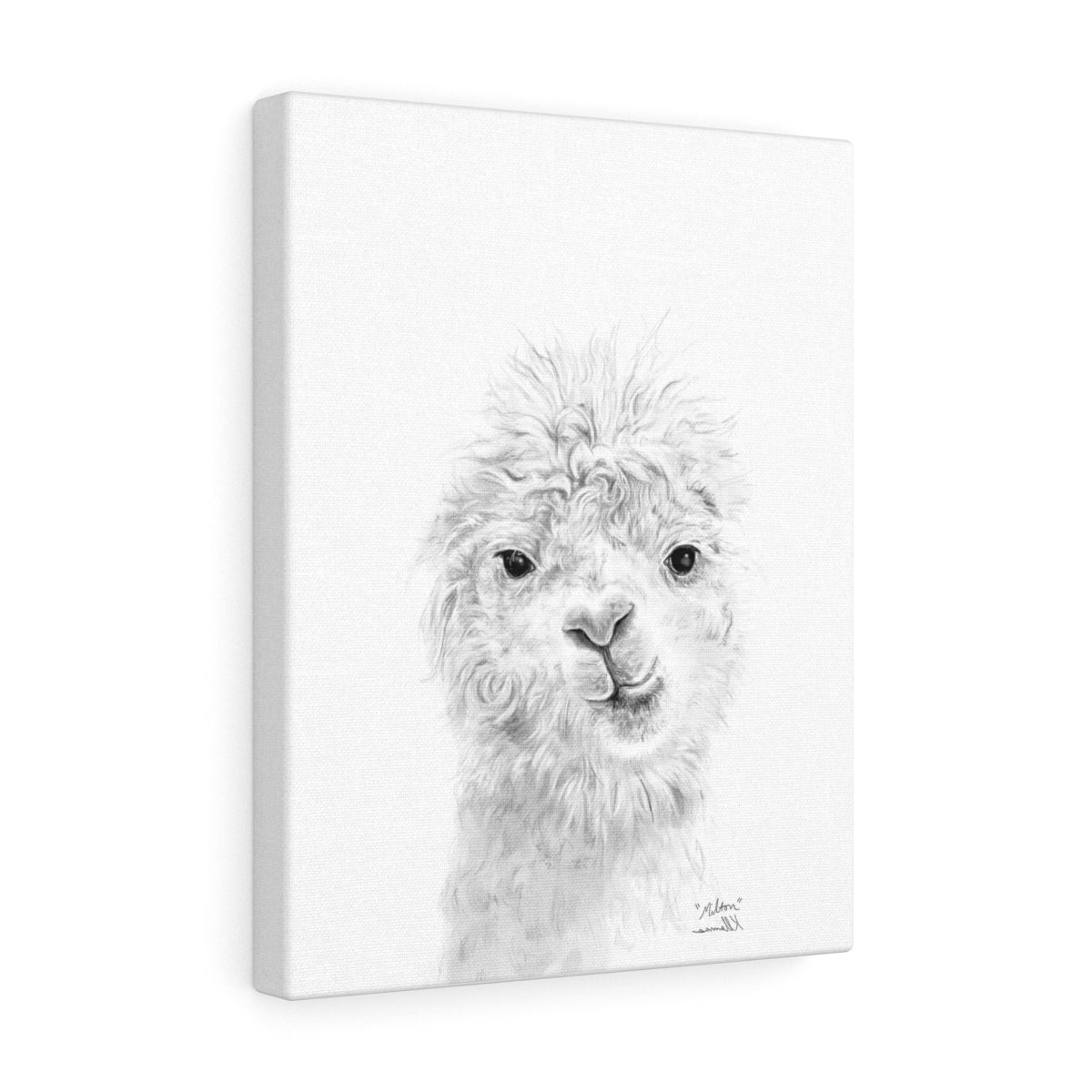 MILTON Llama - Art Canvas