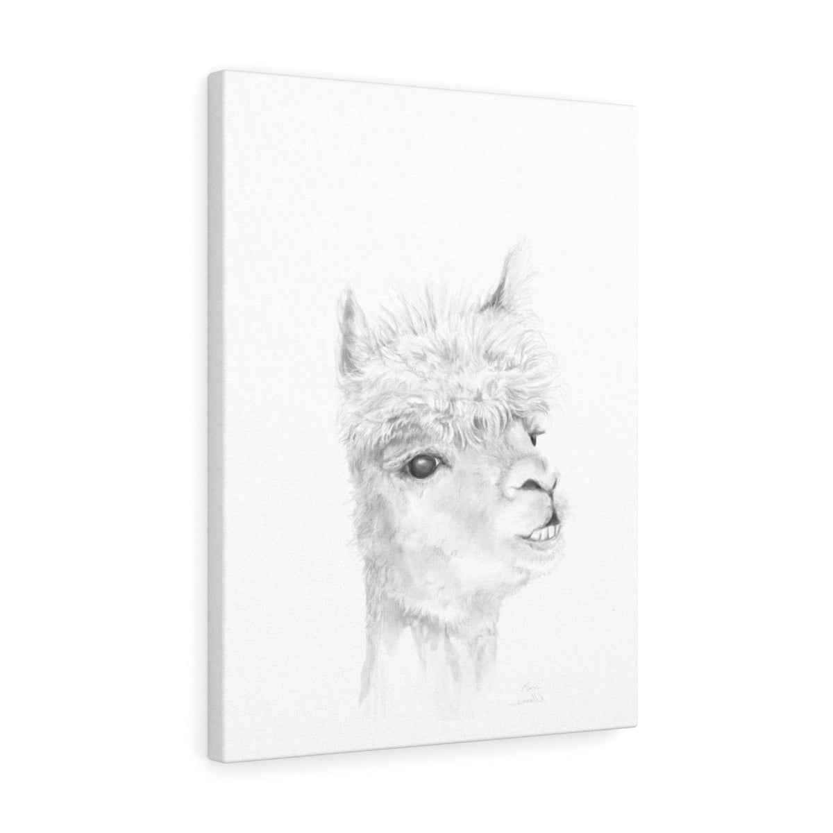 MARC Llama - Art Canvas