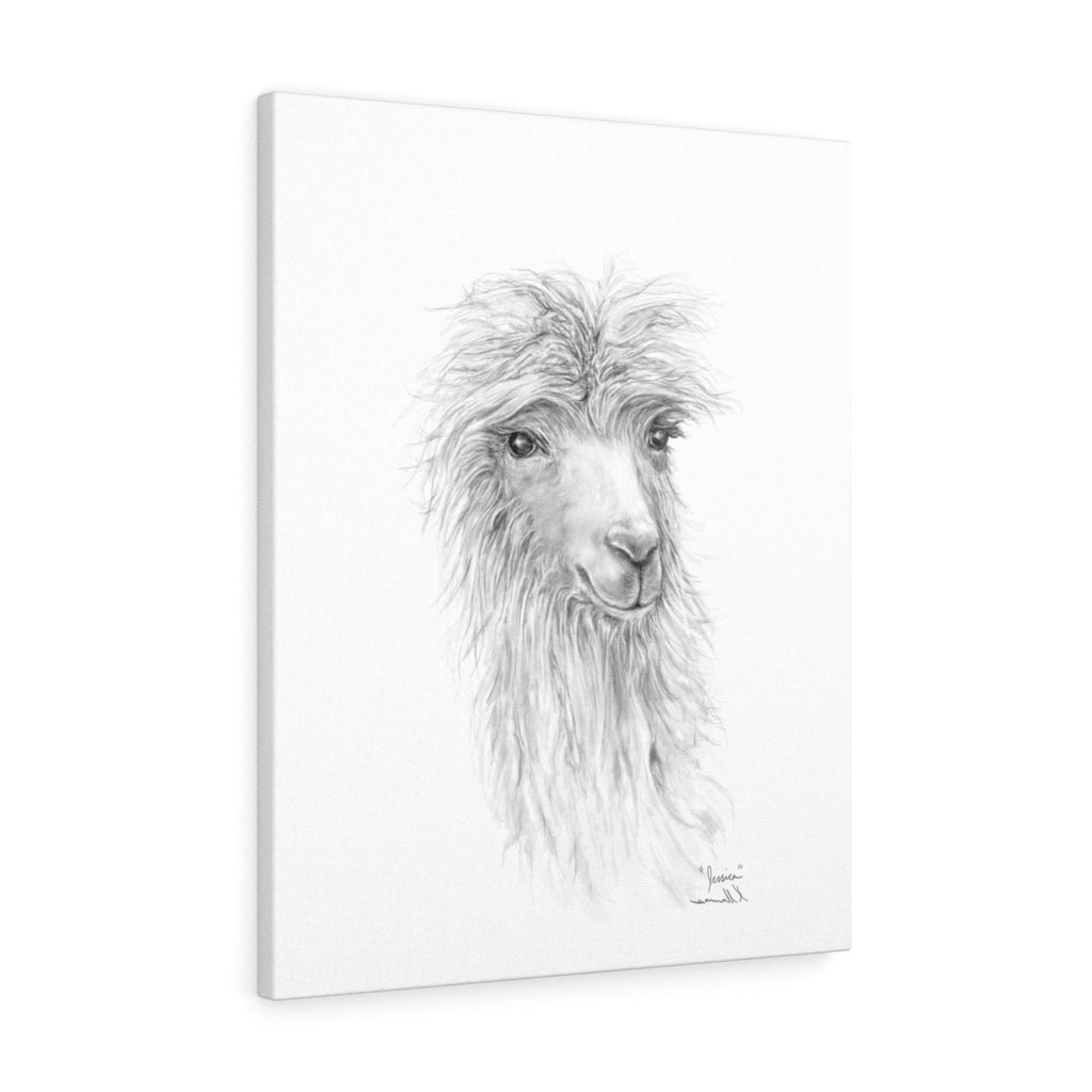 JESSICA Llama - Art Canvas