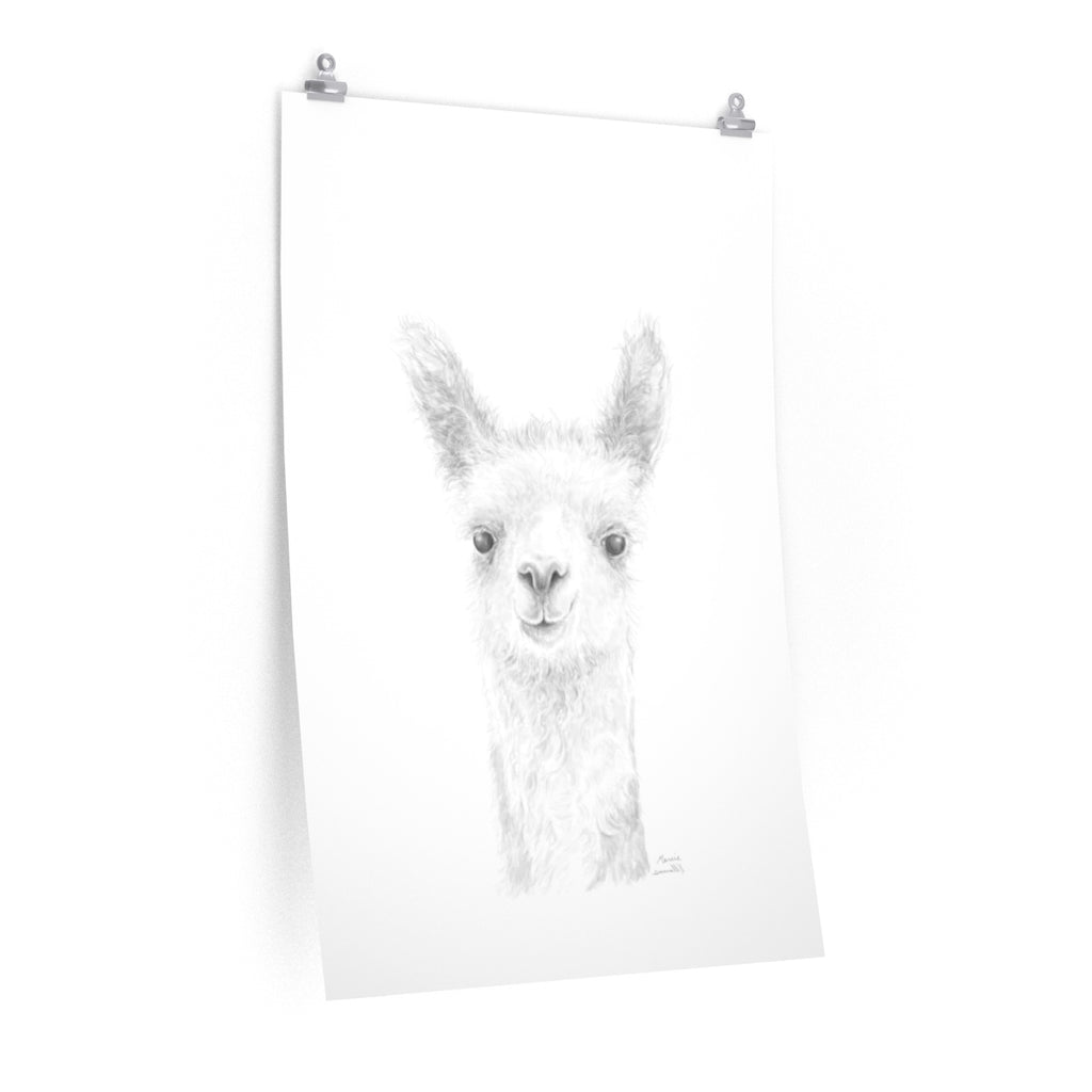 MARCIE Llama- Art Paper Print