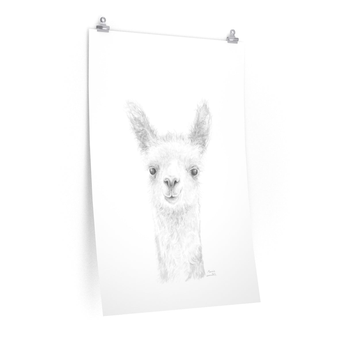 MARCIE Llama- Art Paper Print