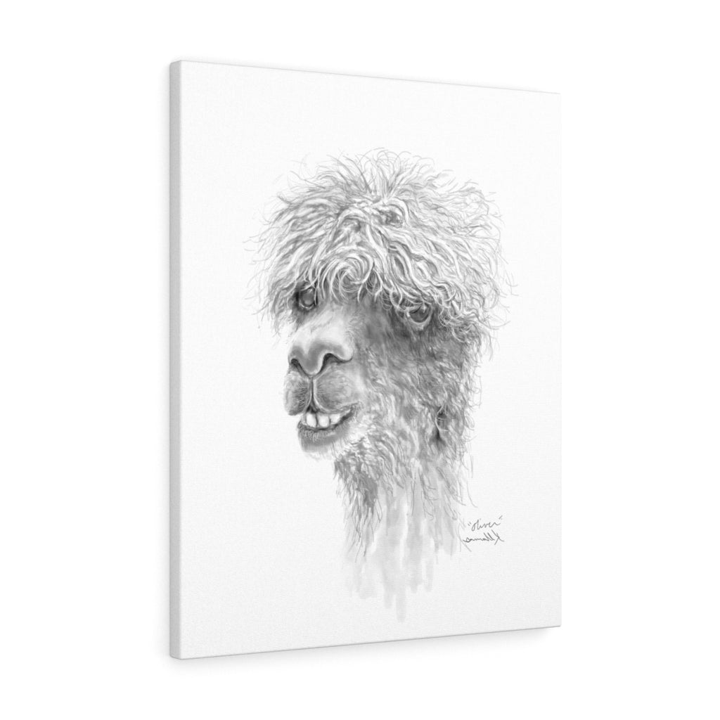 OLIVER Llama - Art Canvas