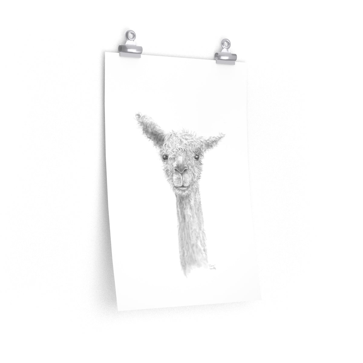 OWEN Llama- Art Paper Print
