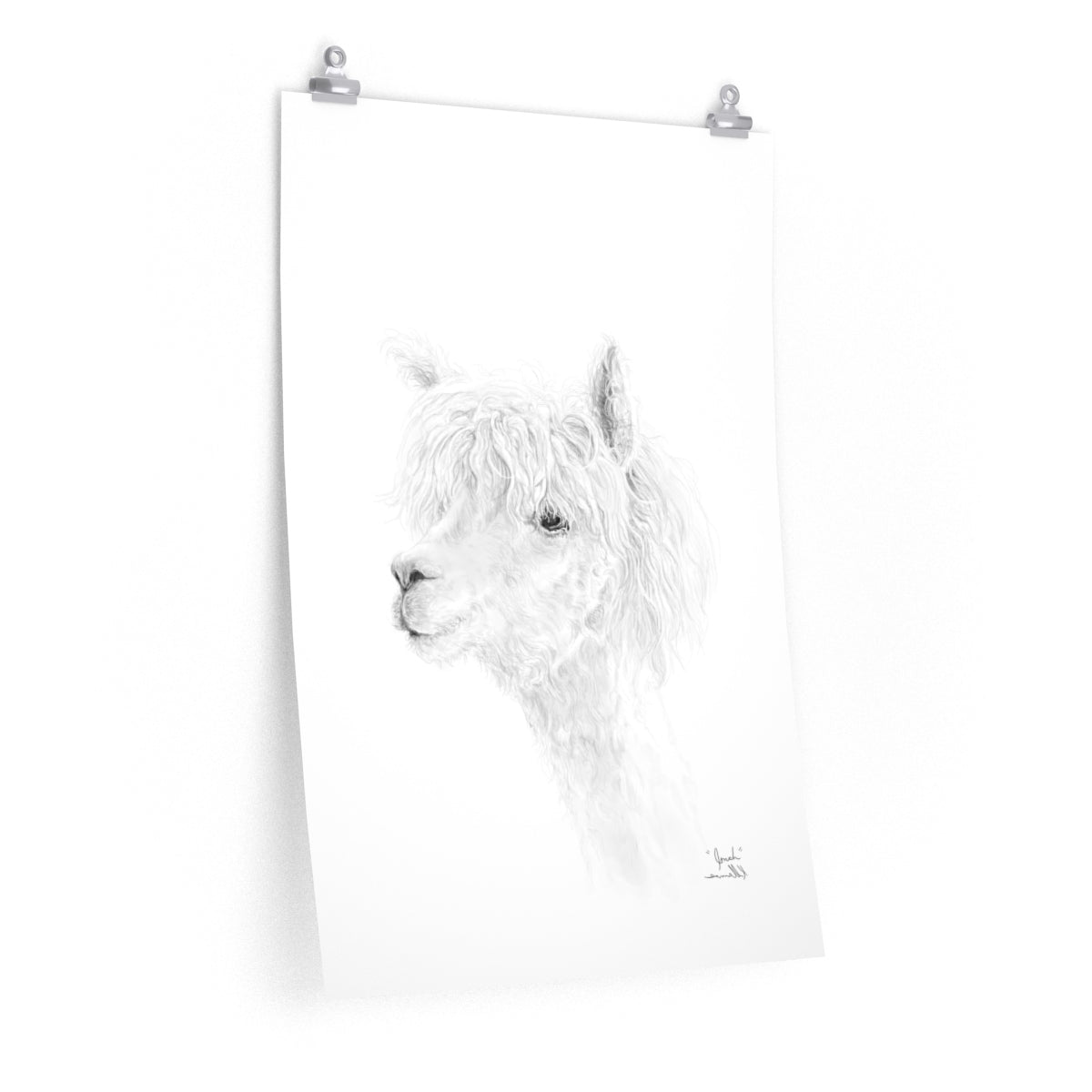 JONAH Llama- Art Paper Print