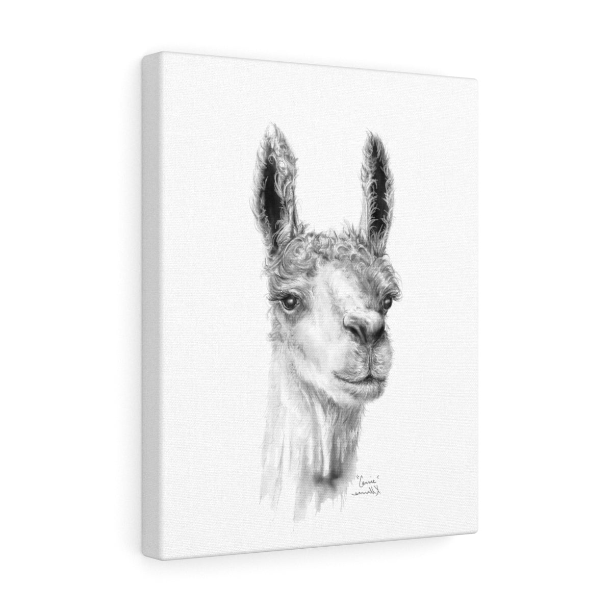 CARRIE Llama - Art Canvas