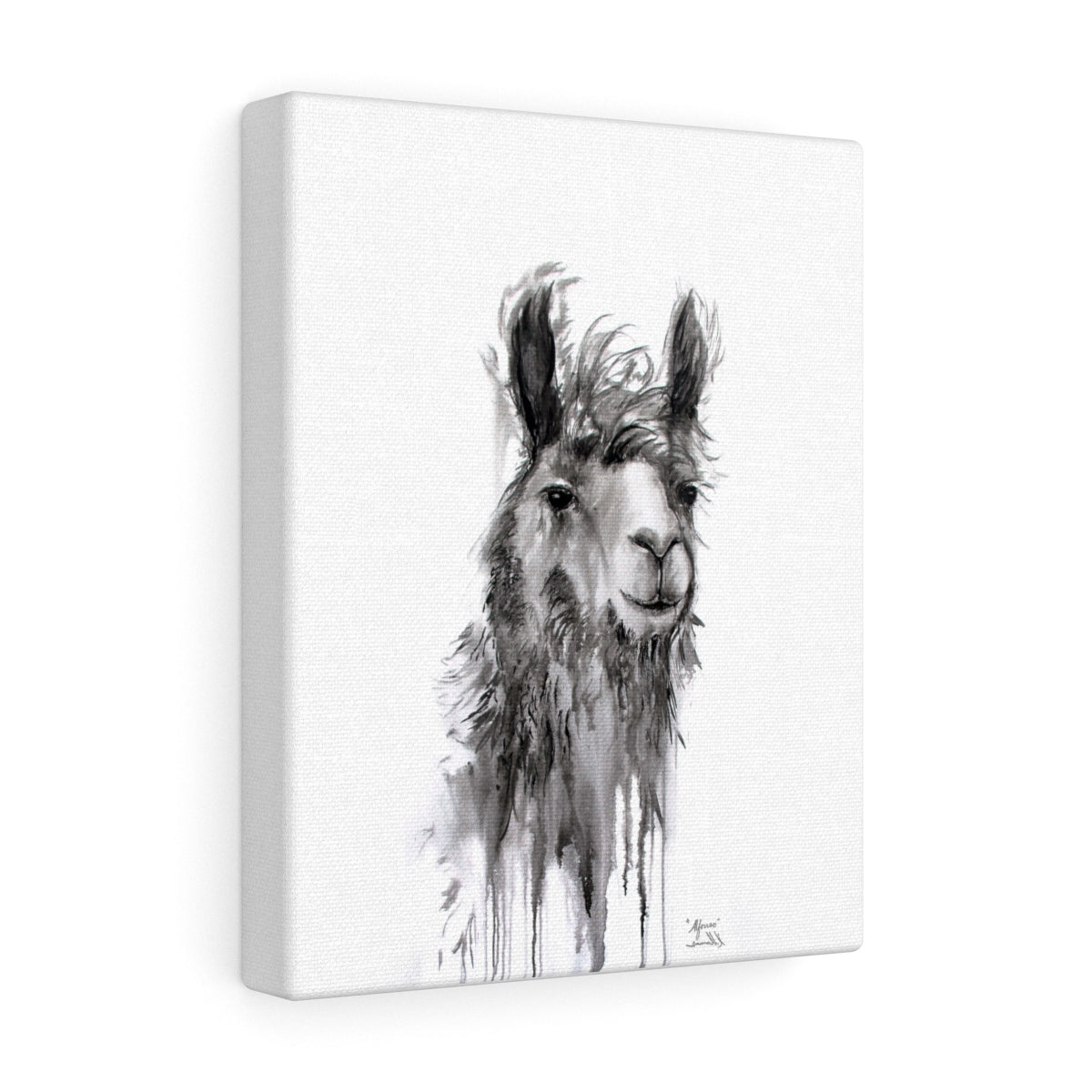 ALFONSO Llama - Art Canvas