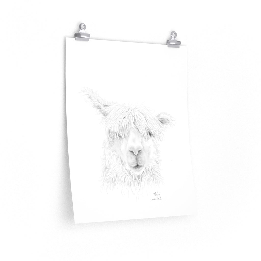 MILES Llama- Art Paper Print