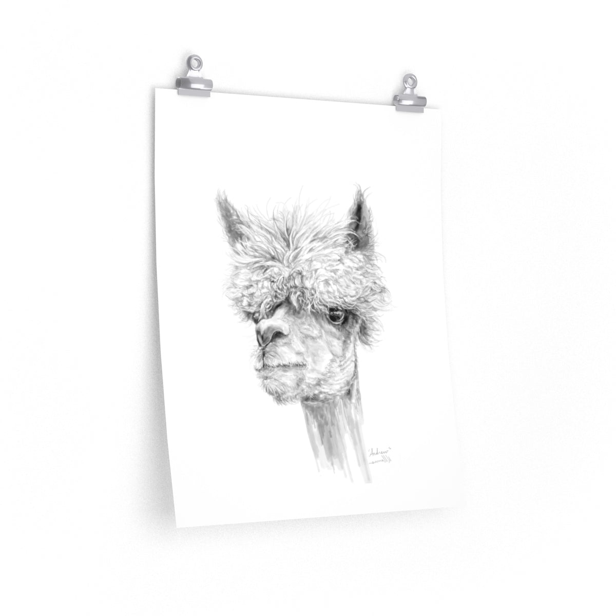 ANDREW Llama- Art Paper Print
