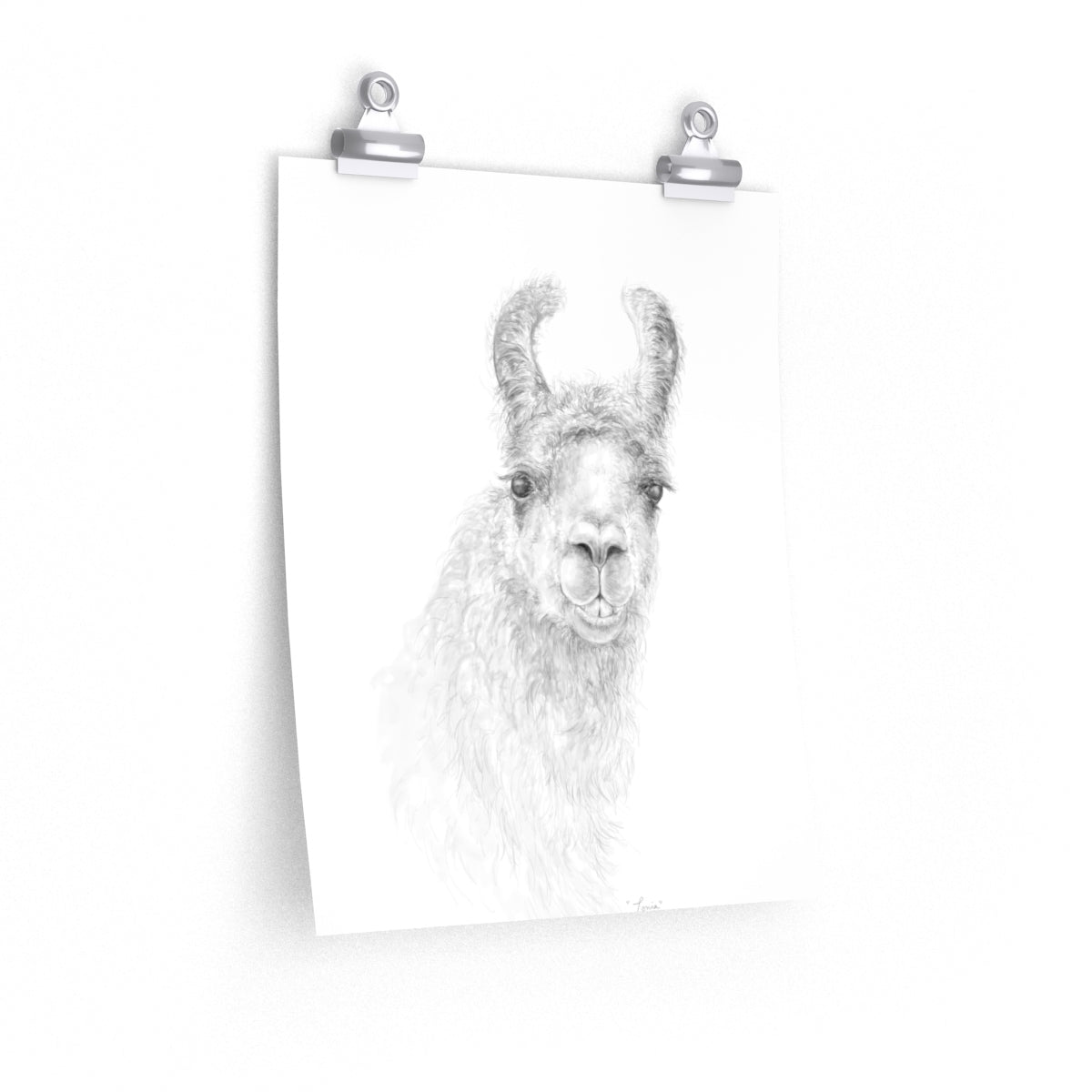 TONIA Llama- Art Paper Print