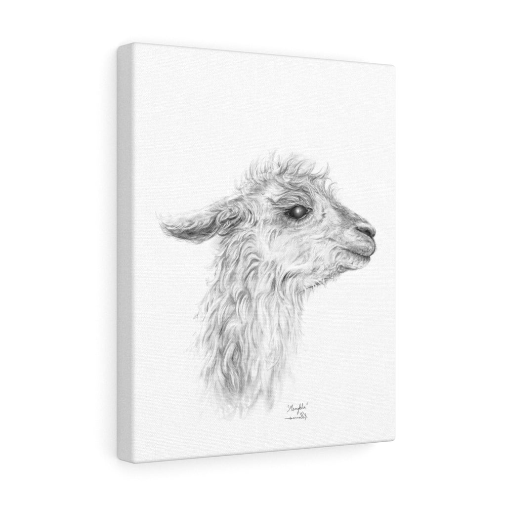 MENGKHA Llama - Art Canvas