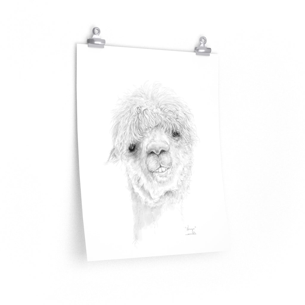 HOUZER Llama- Art Paper Print