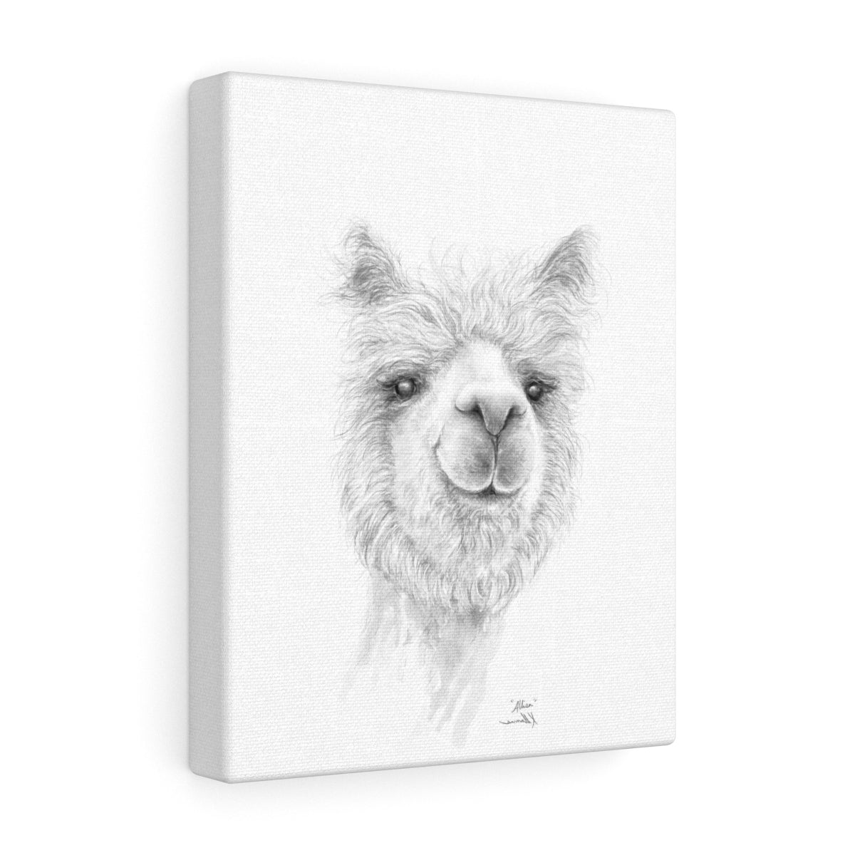 ALLISA Llama - Art Canvas