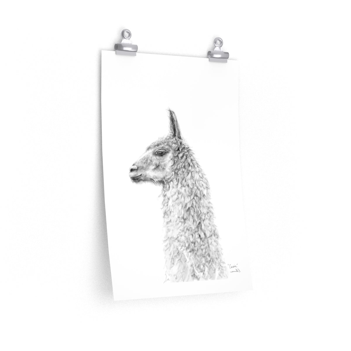 CASSIE Llama- Art Paper Print