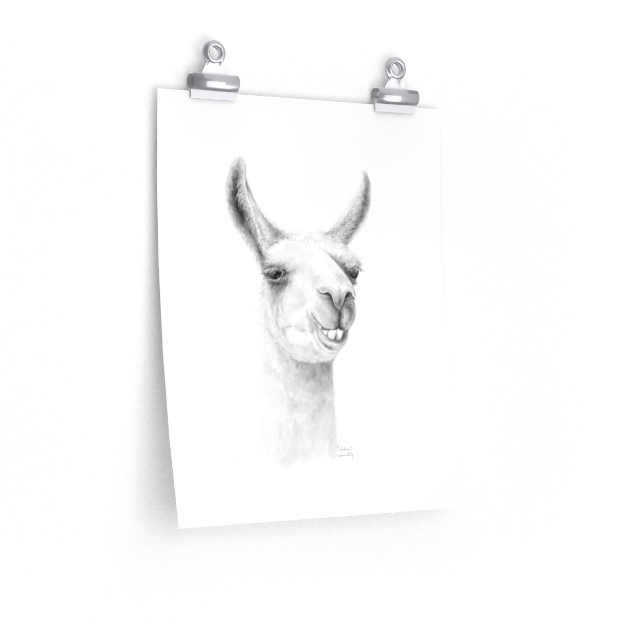 HUDSON Llama- Art Paper Print