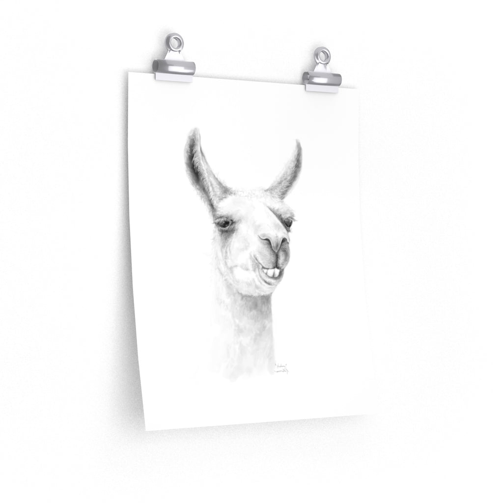 HUDSON Llama- Art Paper Print