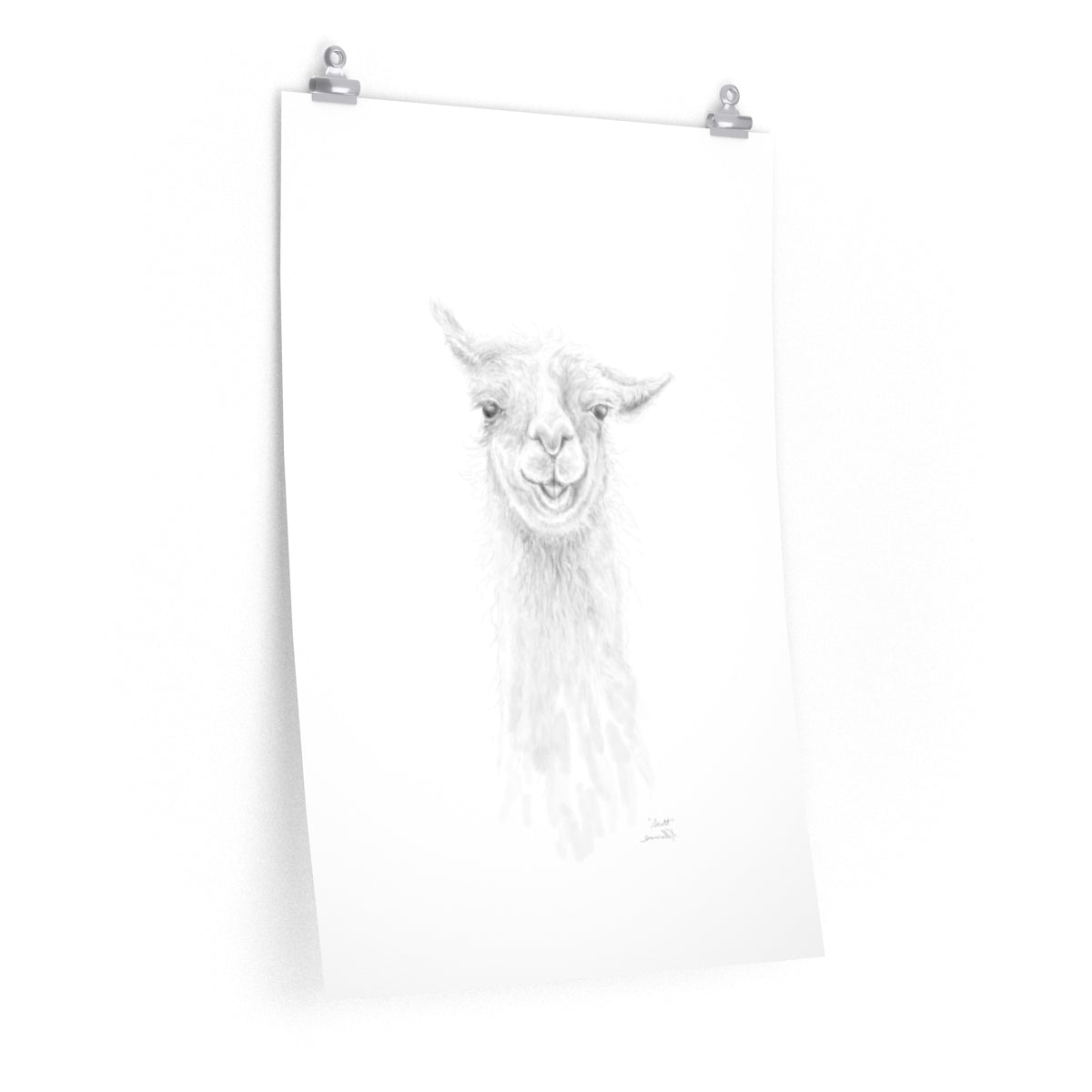 SCOTT Llama- Art Paper Print