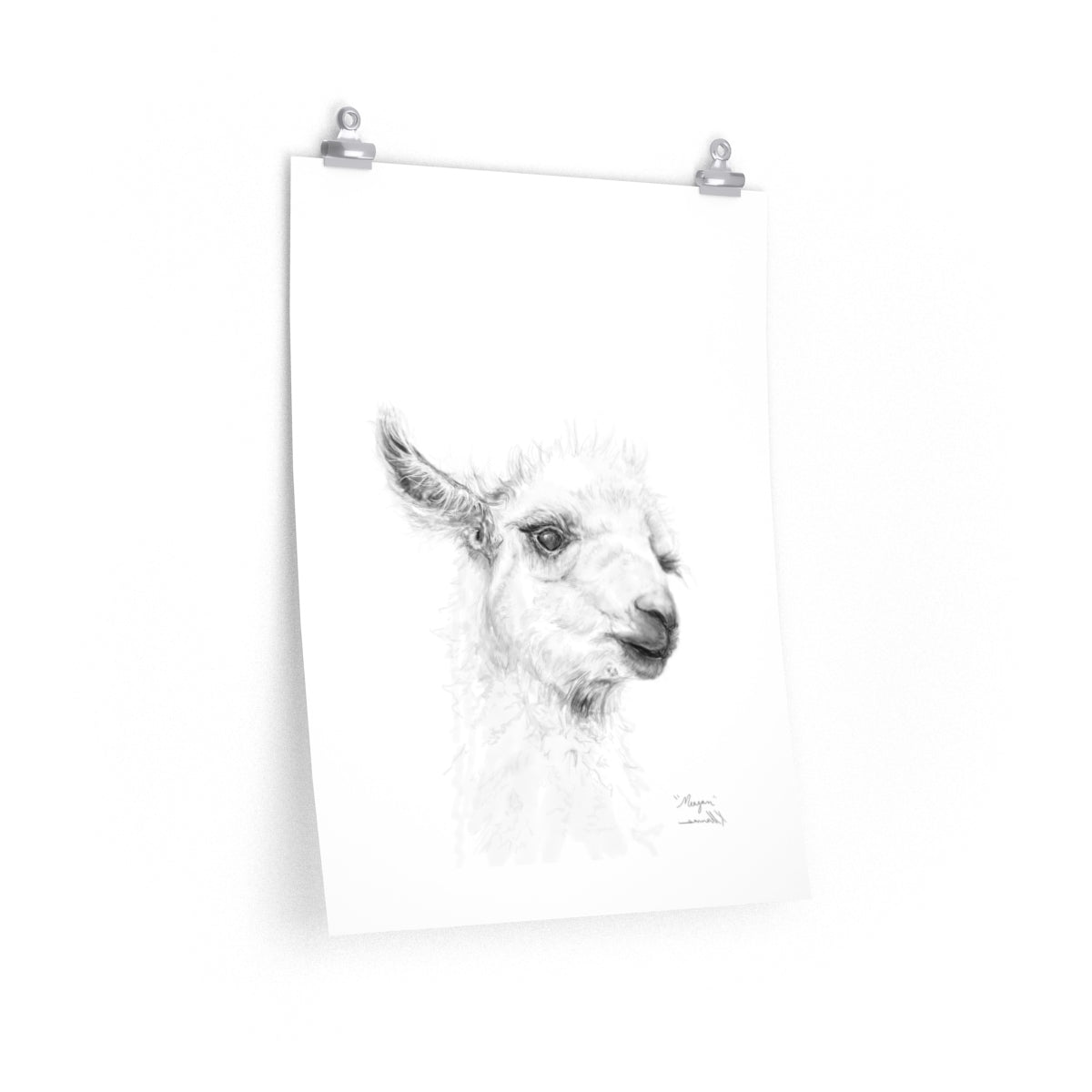 MEAGAN Llama- Art Paper Print