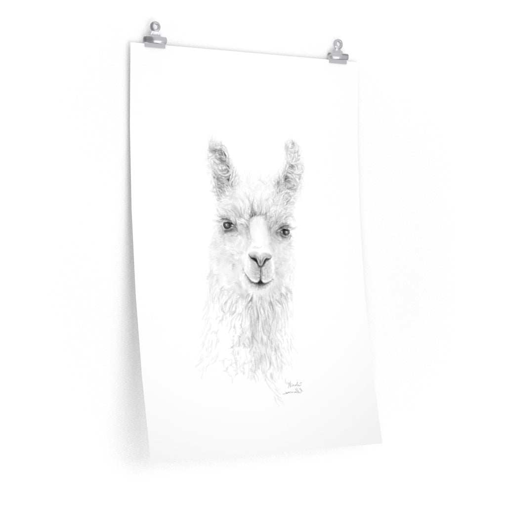 NICOLE Llama- Art Paper Print