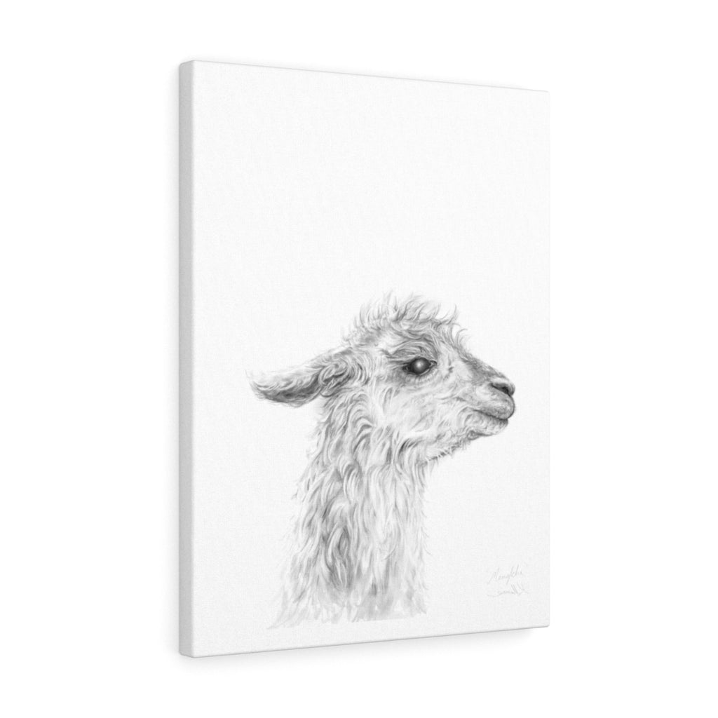 MENKHA - Canvas
