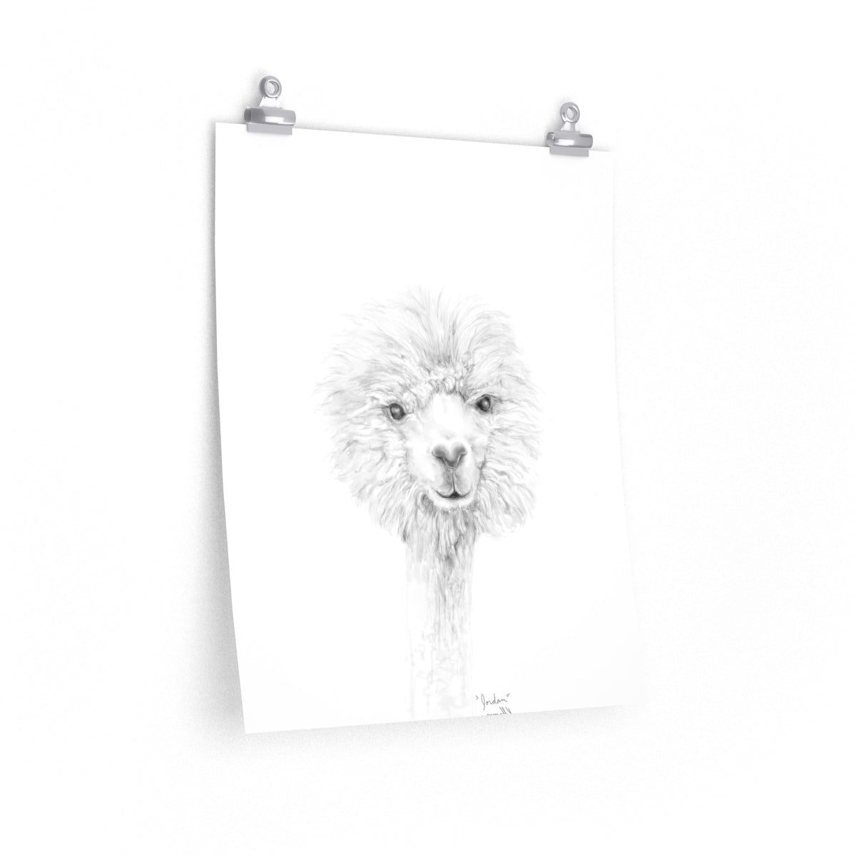 JORDAN Llama- Art Paper Print