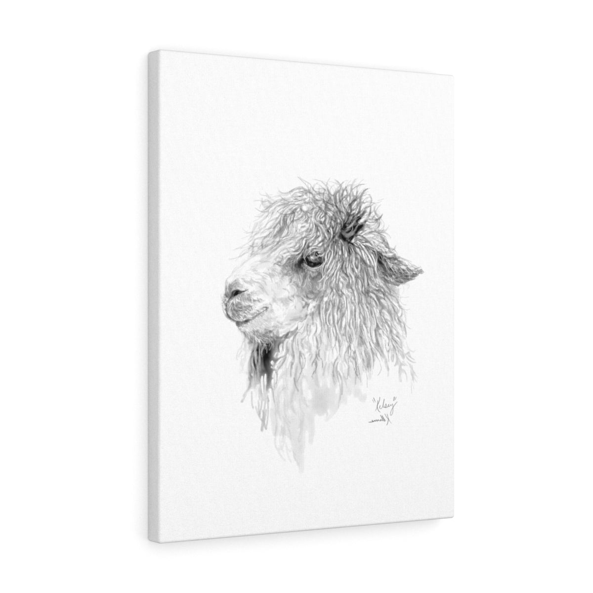 KELSEY Llama - Art Canvas