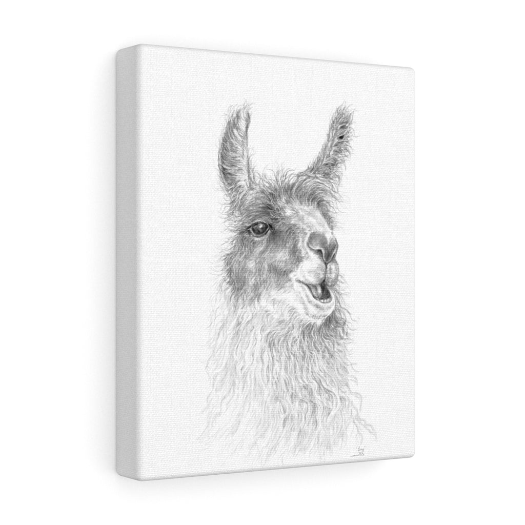 LUCY Llama - Art Canvas