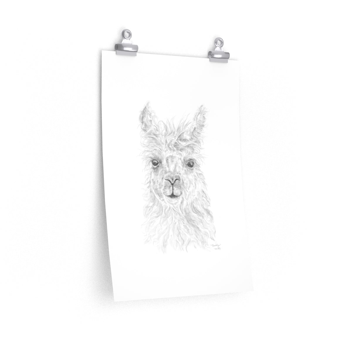 BROOKLYN Llama- Art Paper Print