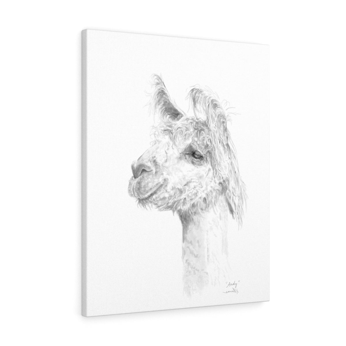 ANDY Llama - Art Canvas