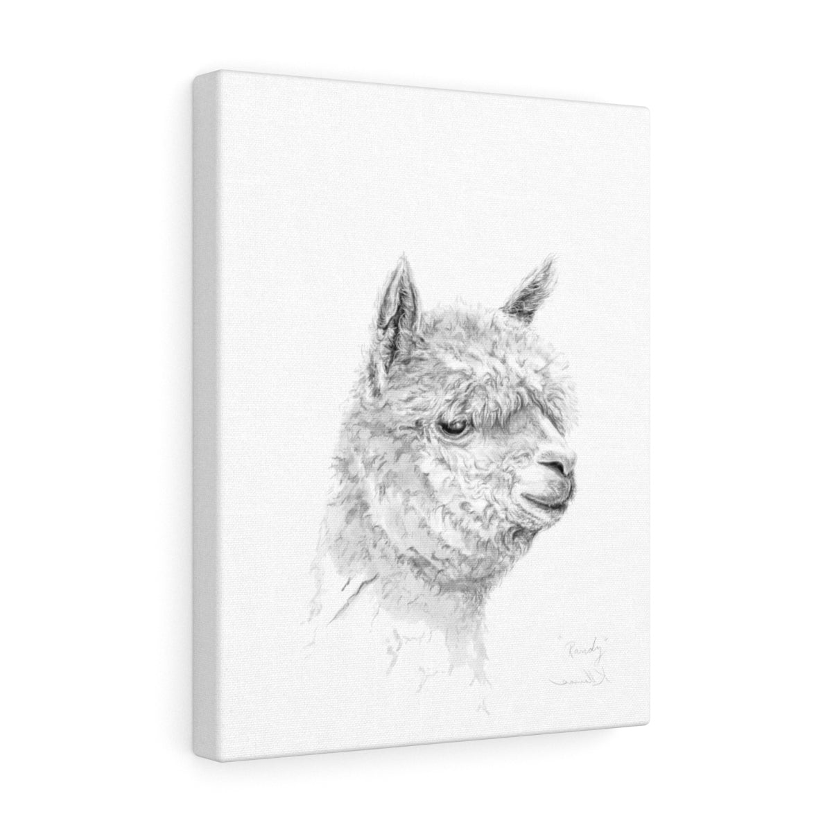 RANDY Llama - Art Canvas