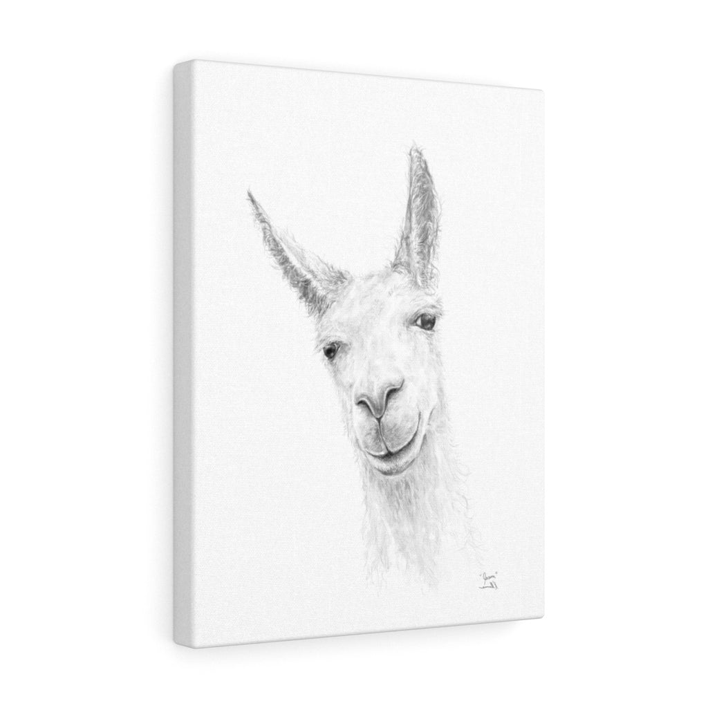 JASON Llama - Art Canvas