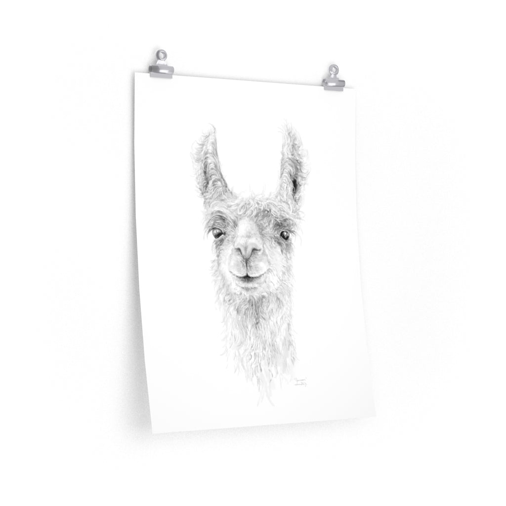 JAMESON Llama- Art Paper Print