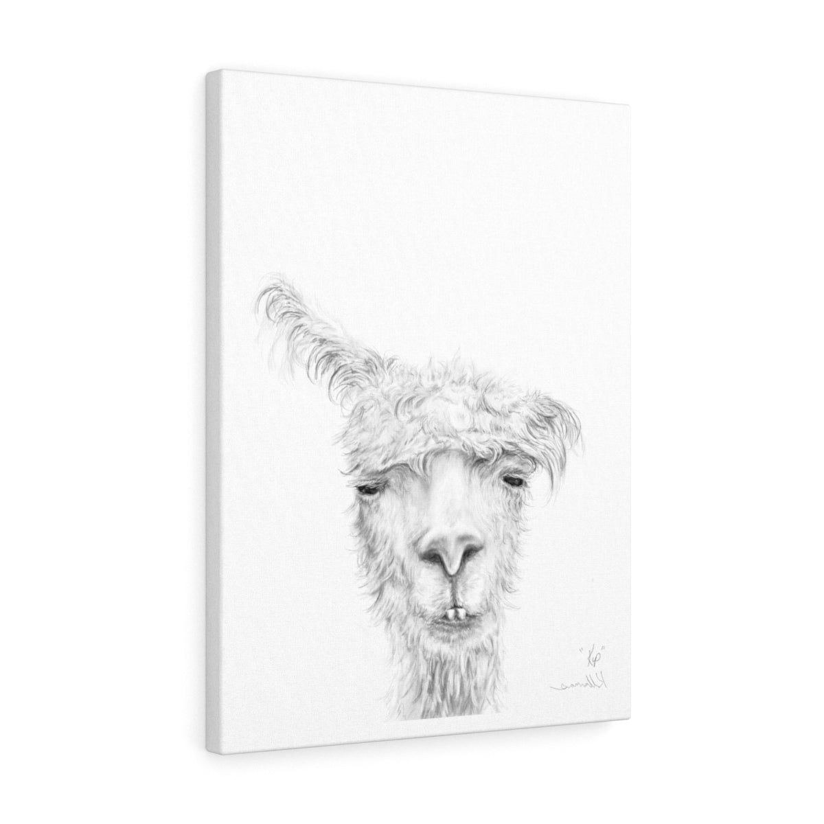 KIP Llama - Art Canvas