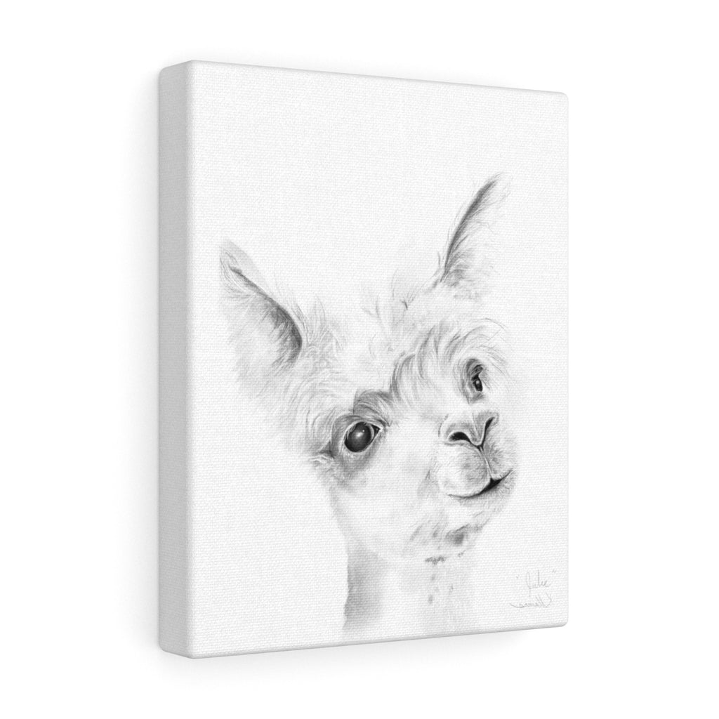 JULIE Llama - Art Canvas