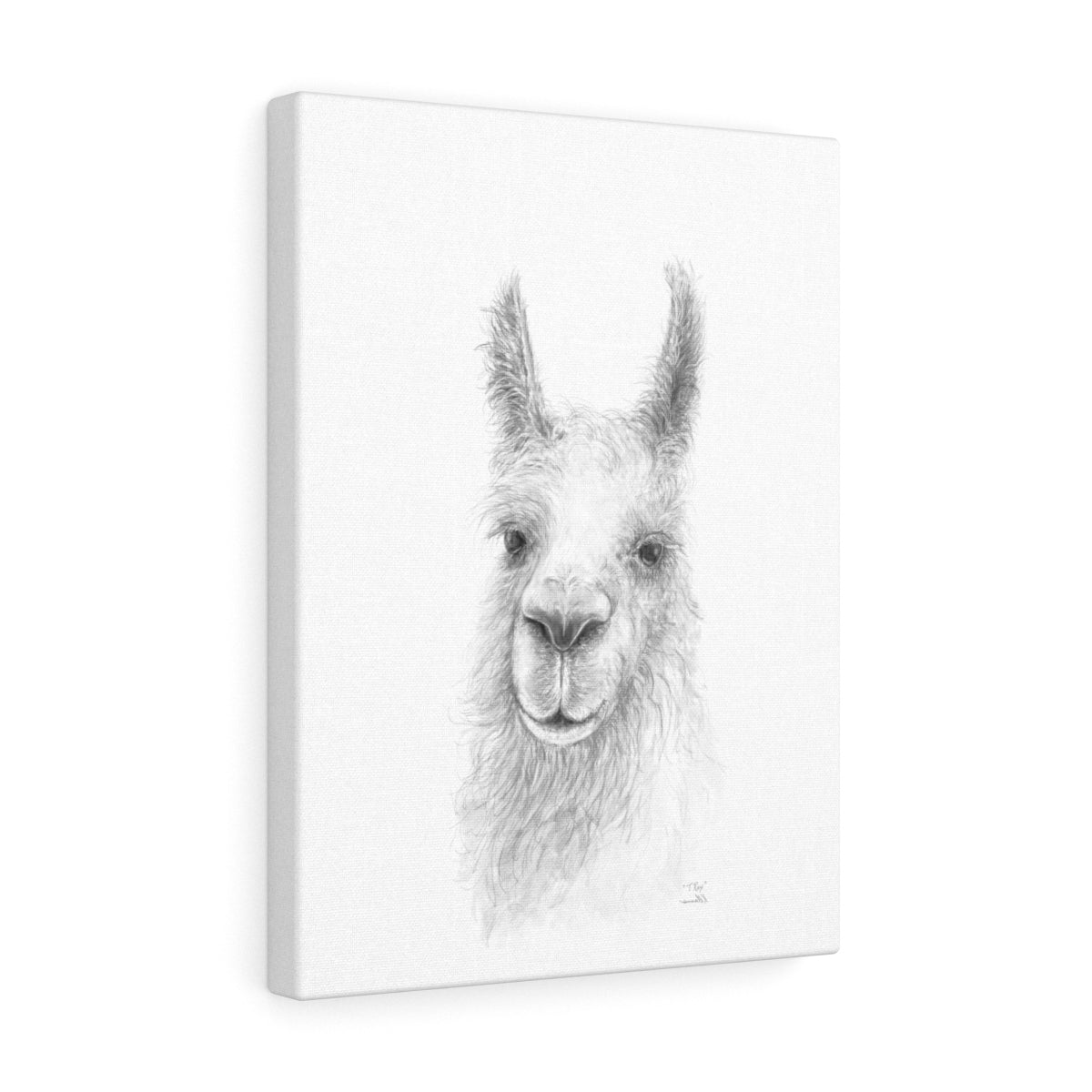 TREX Llama - Art Canvas