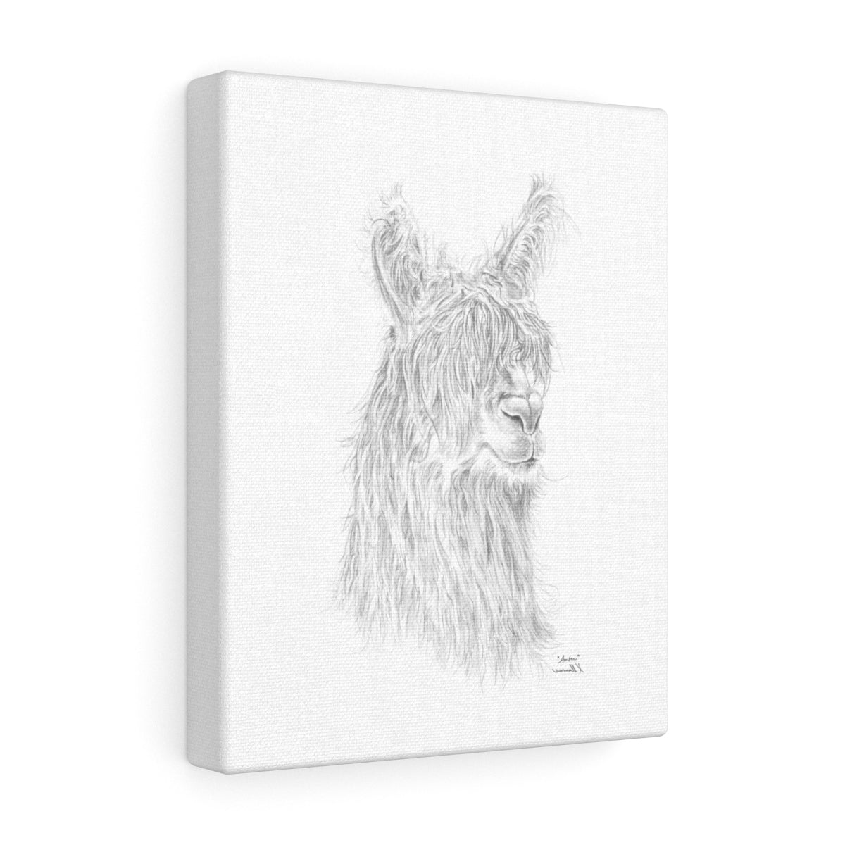 AMBER Llama - Art Canvas