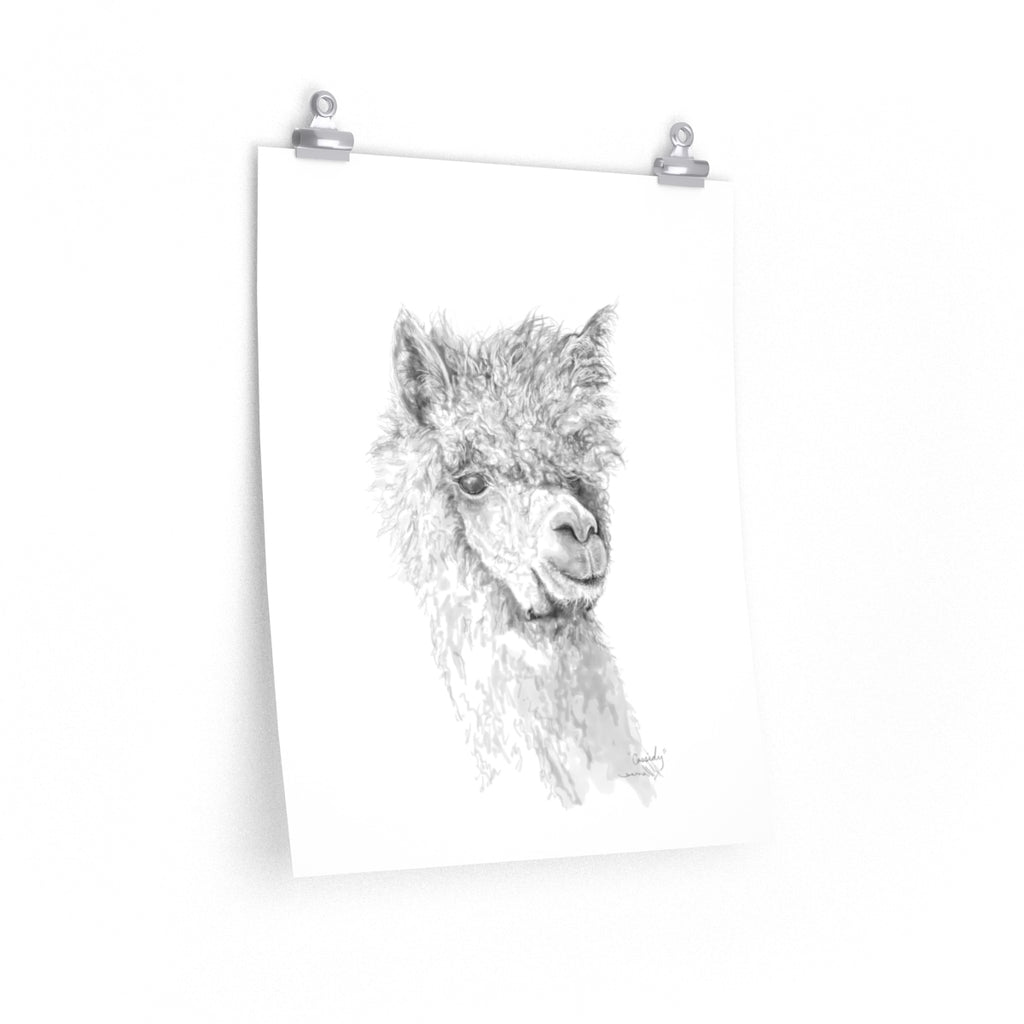 CASSIDY Llama- Art Paper Print