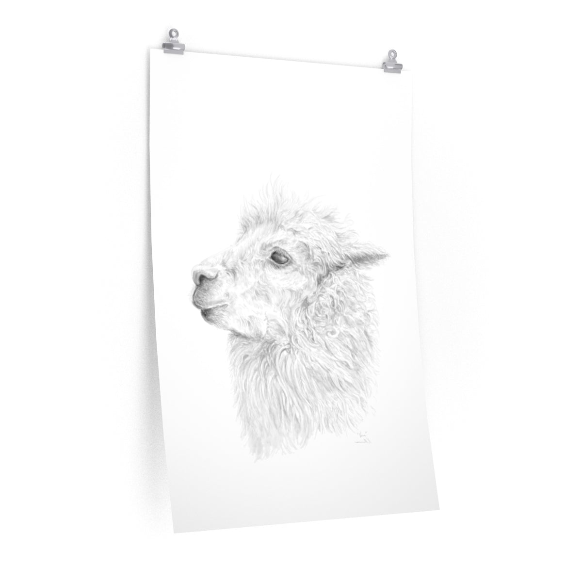 VERA Llama- Art Paper Print