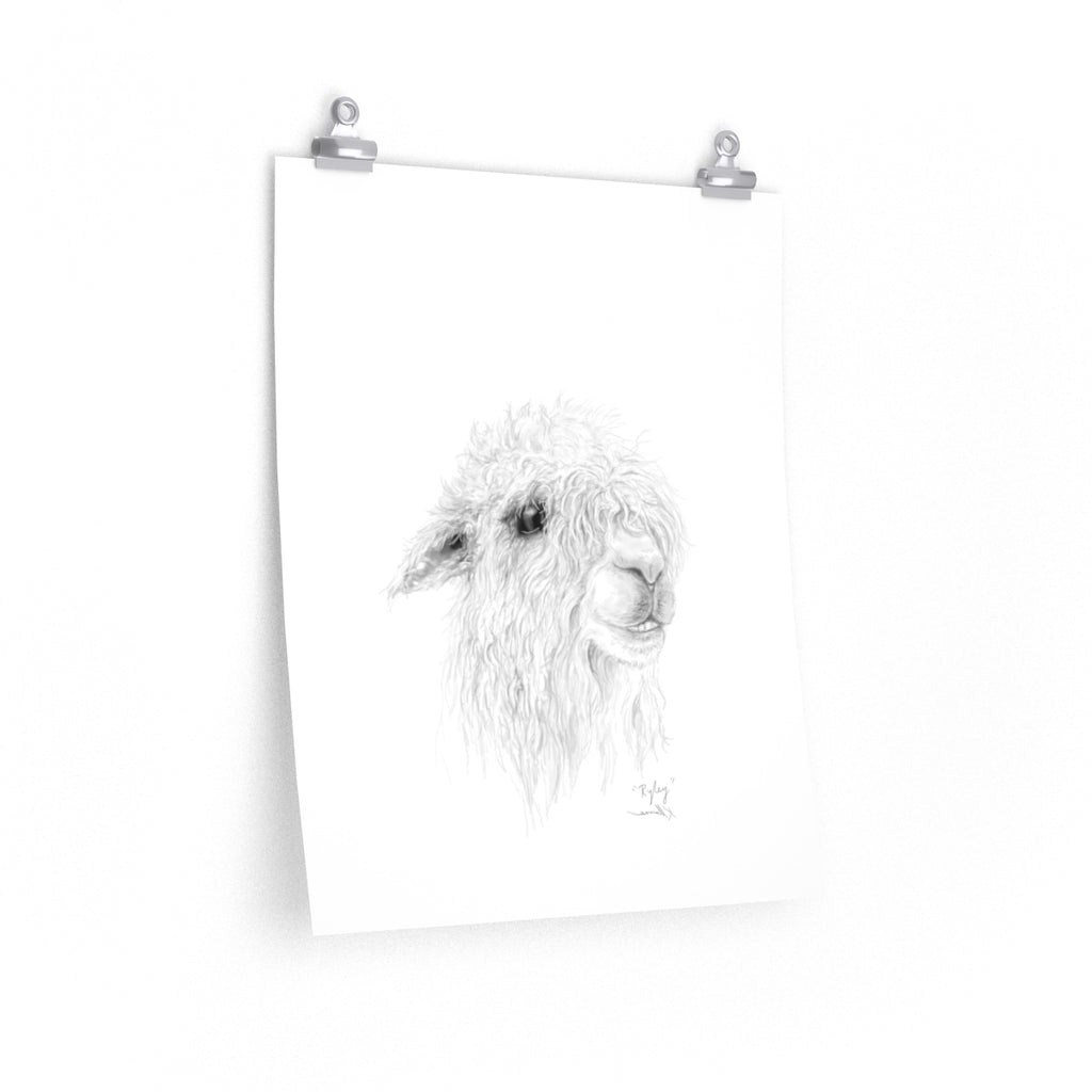 RYLEY Llama- Art Paper Print