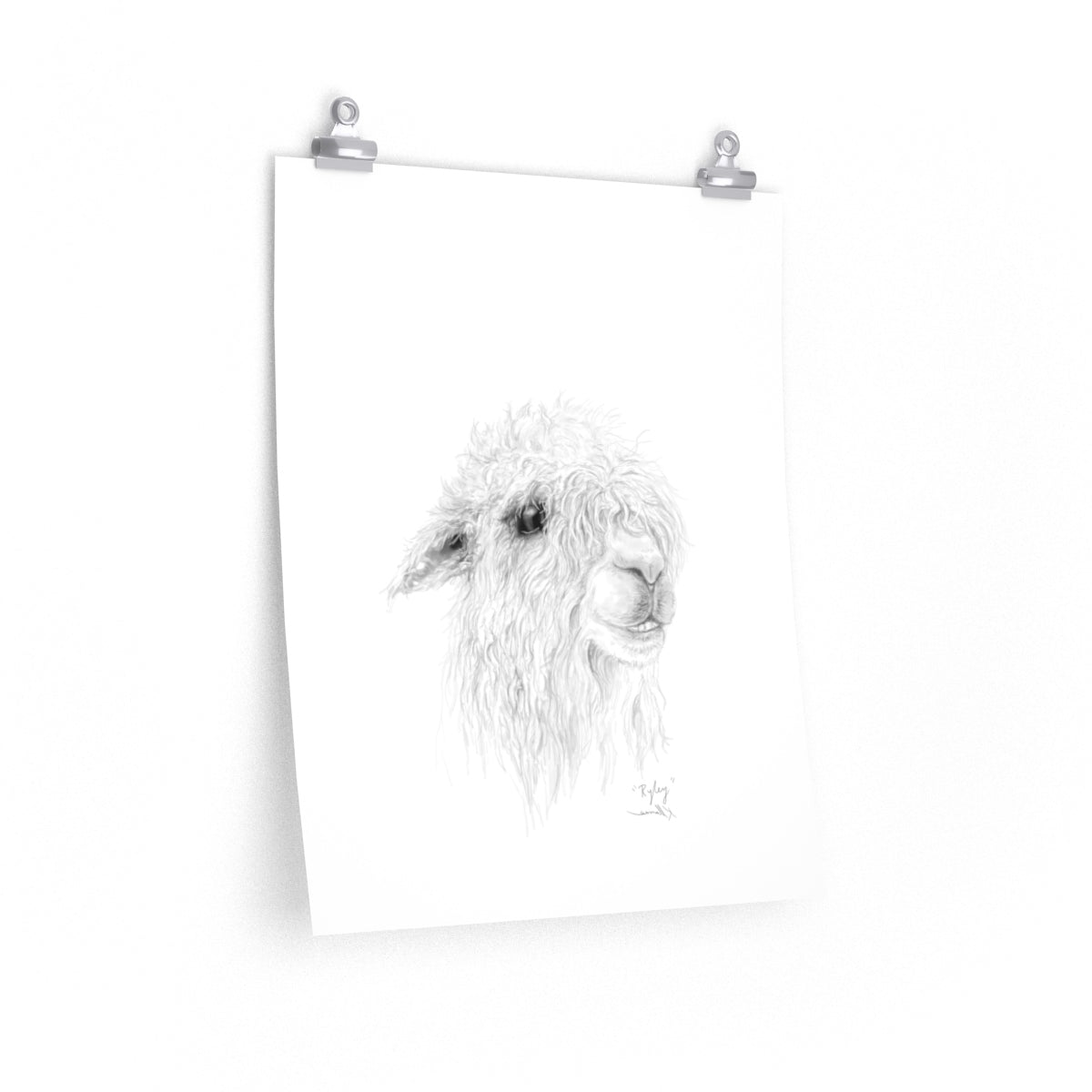 RYLEY Llama- Art Paper Print