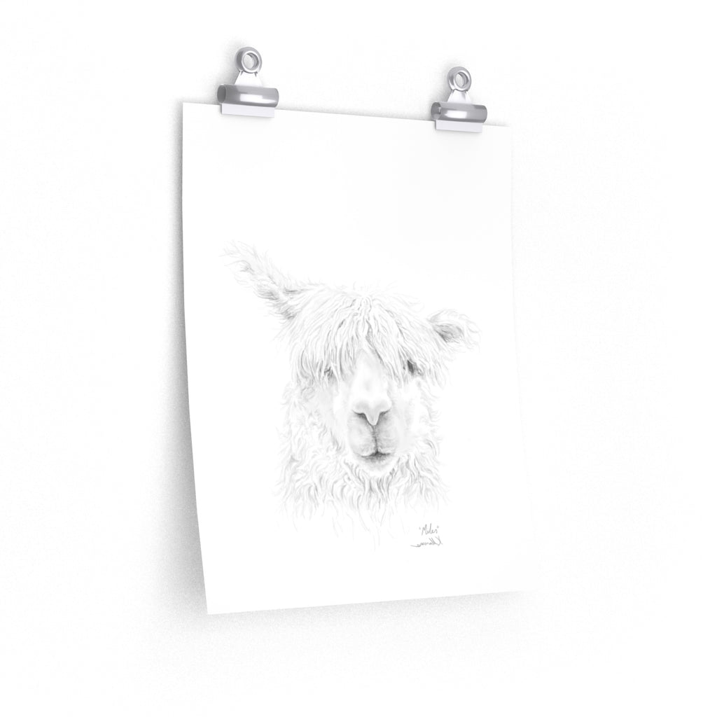 MILES Llama- Art Paper Print