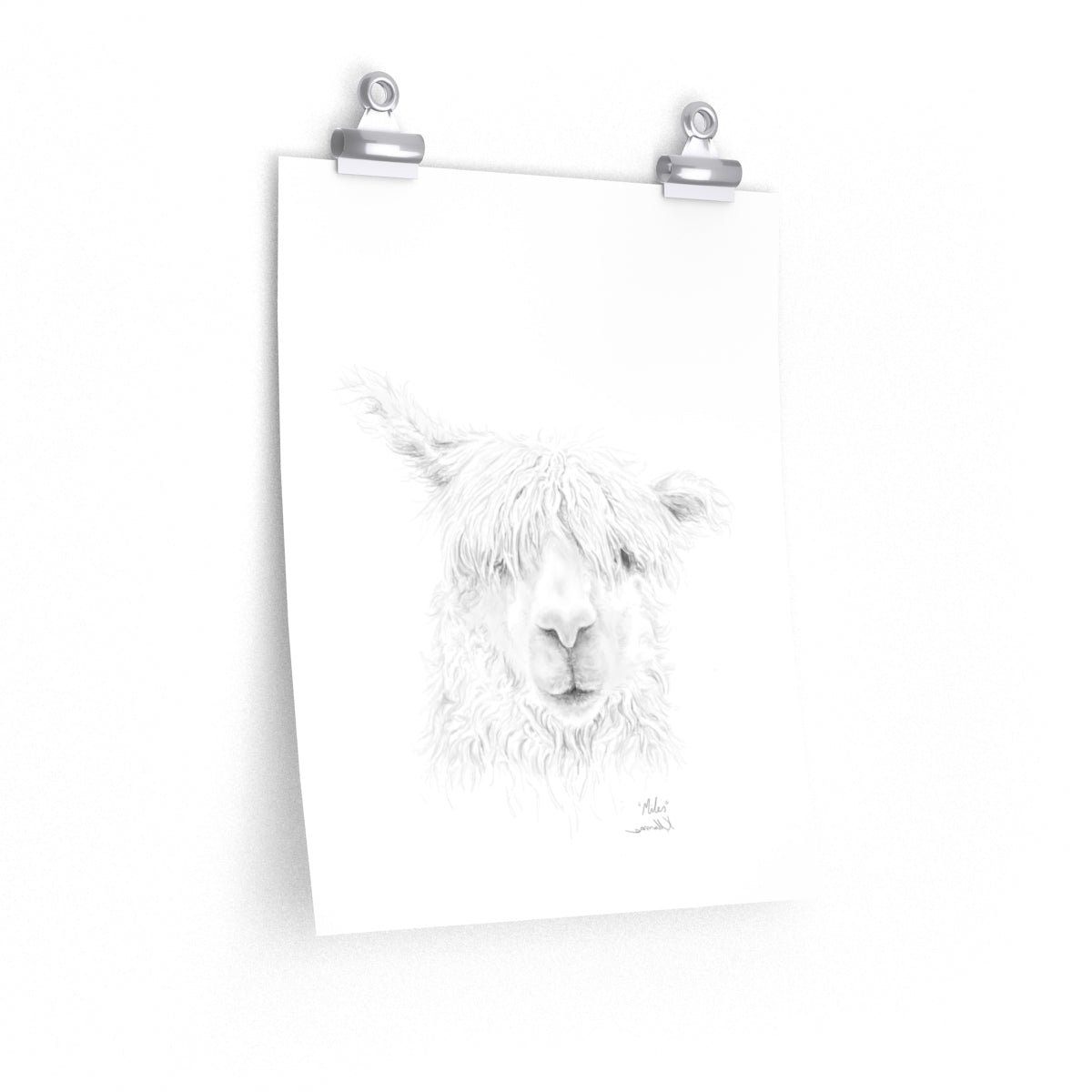MILES Llama- Art Paper Print
