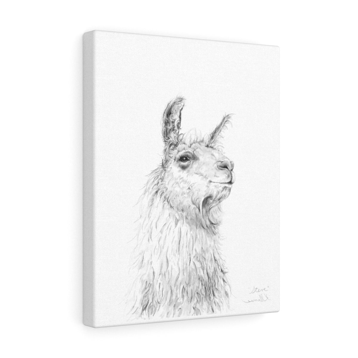 STEVE Llama - Art Canvas