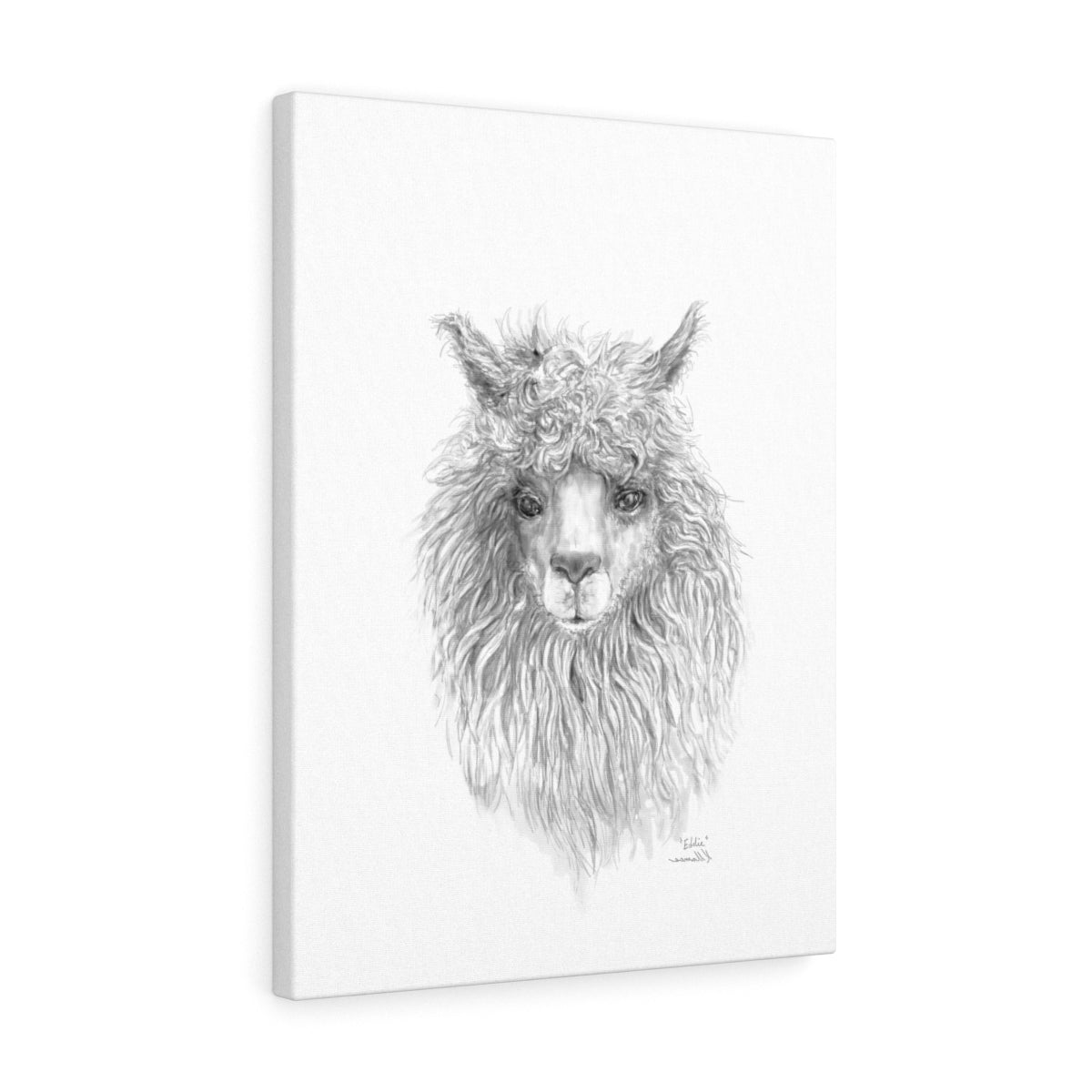 EDDIE Llama - Art Canvas