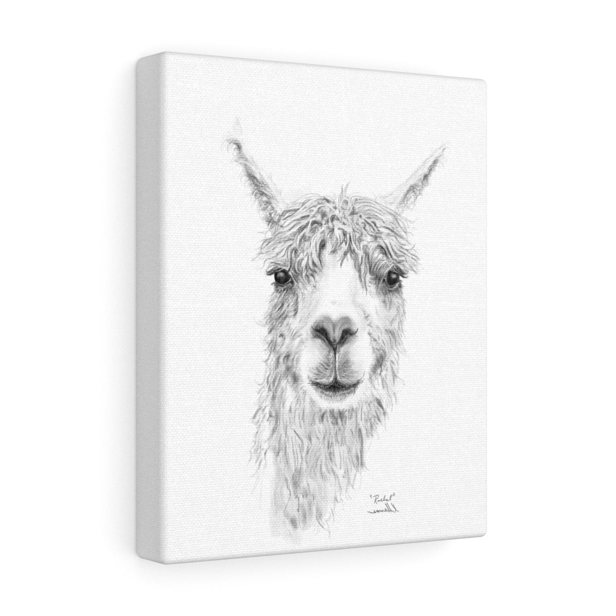 RACHEL Llama - Art Canvas