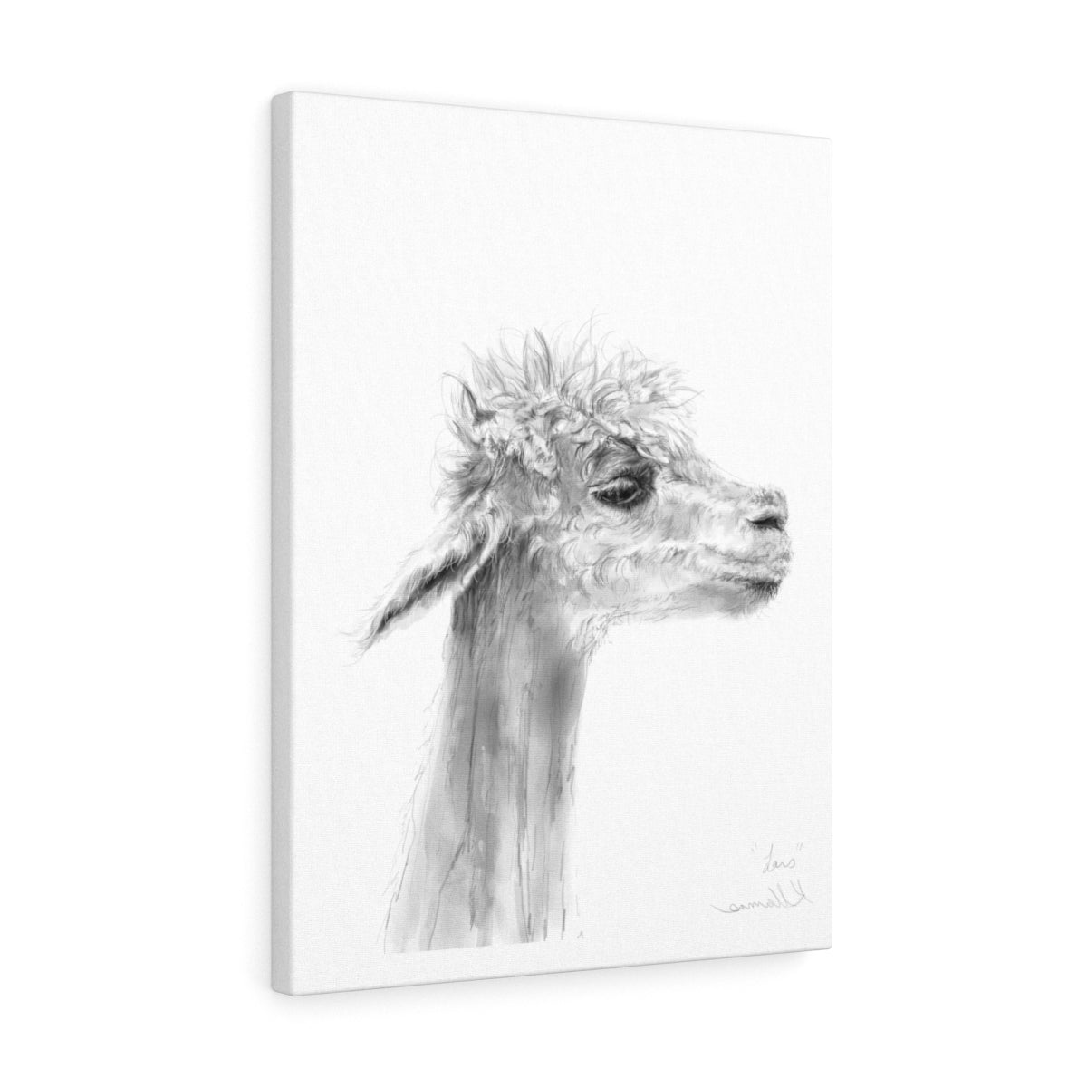 LARS Llama - Art Canvas