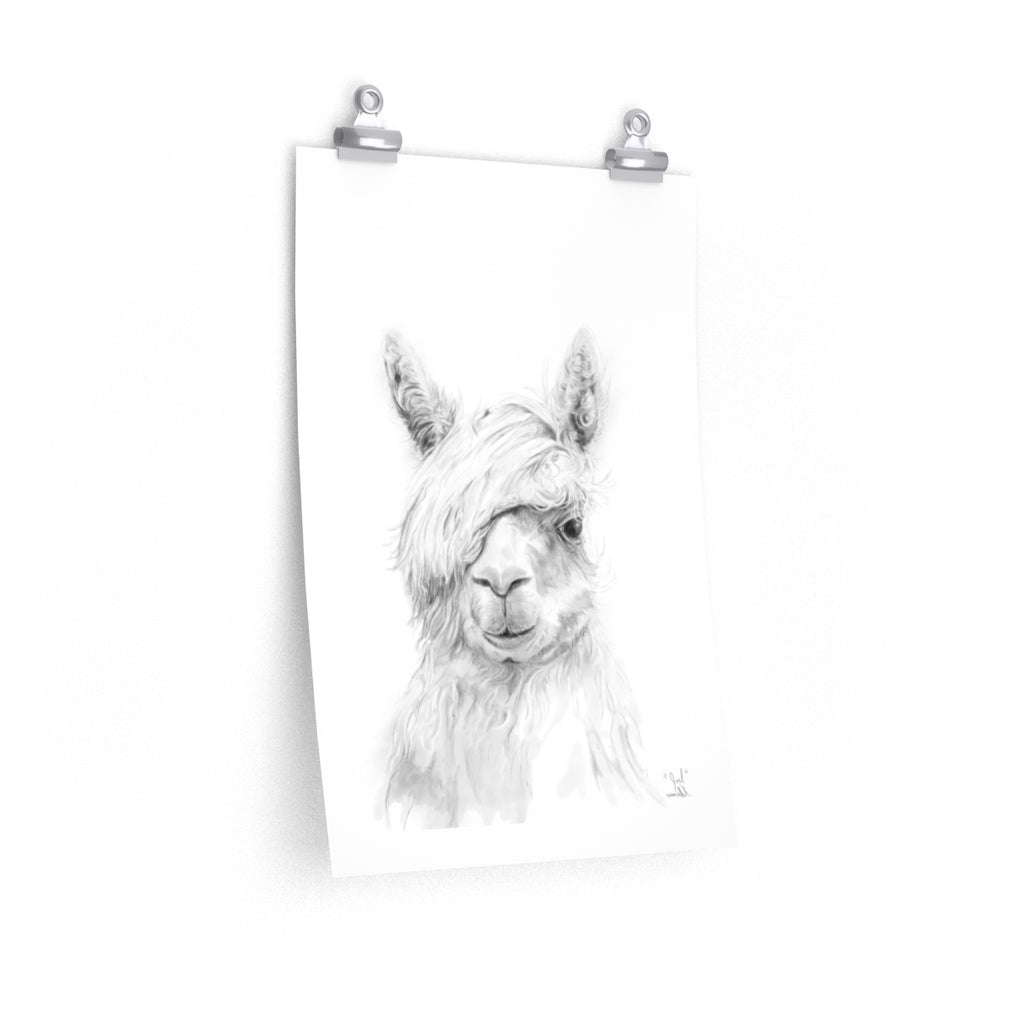 JOEL Llama- Art Paper Print