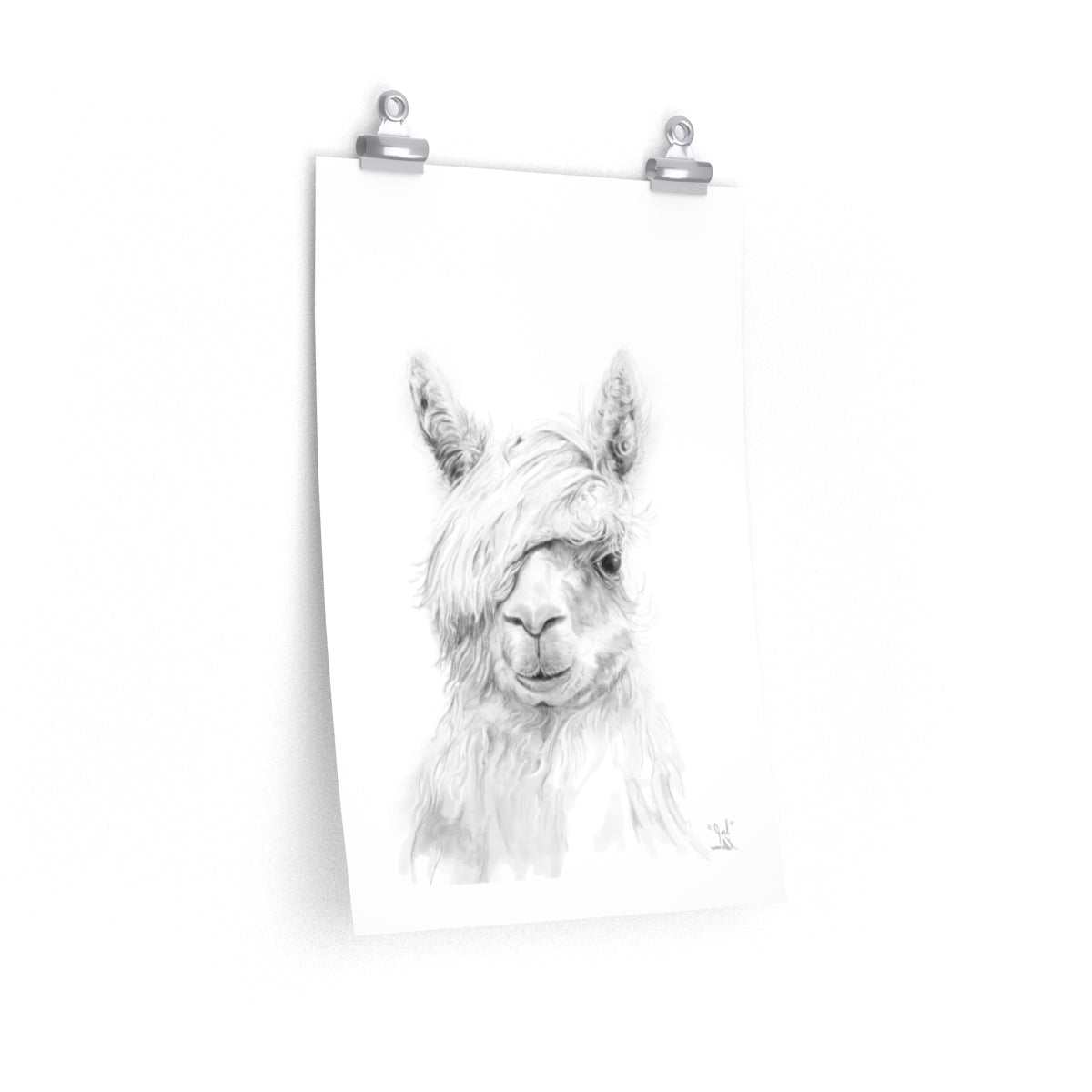 JOEL Llama- Art Paper Print