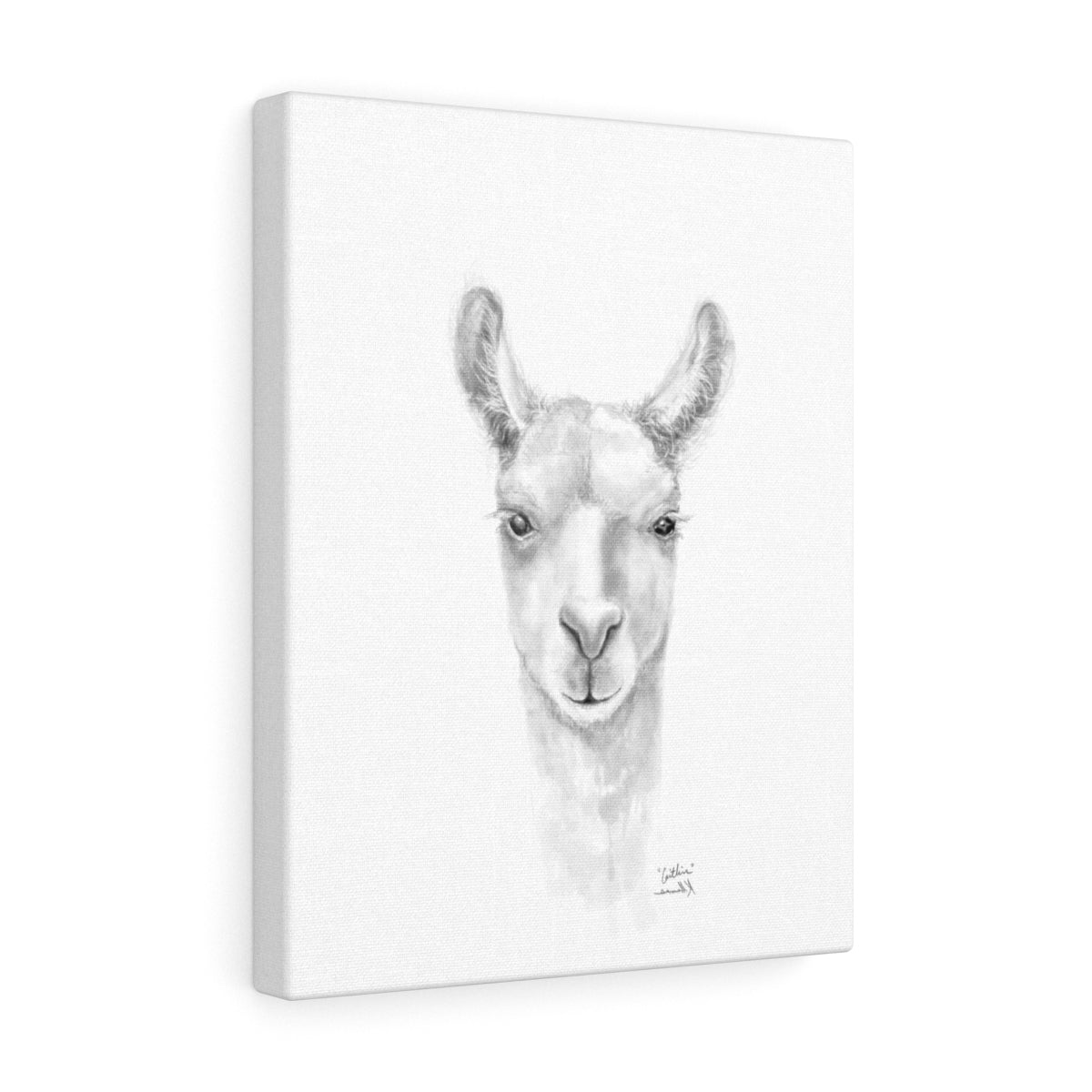CAITLIN Llama - Art Canvas